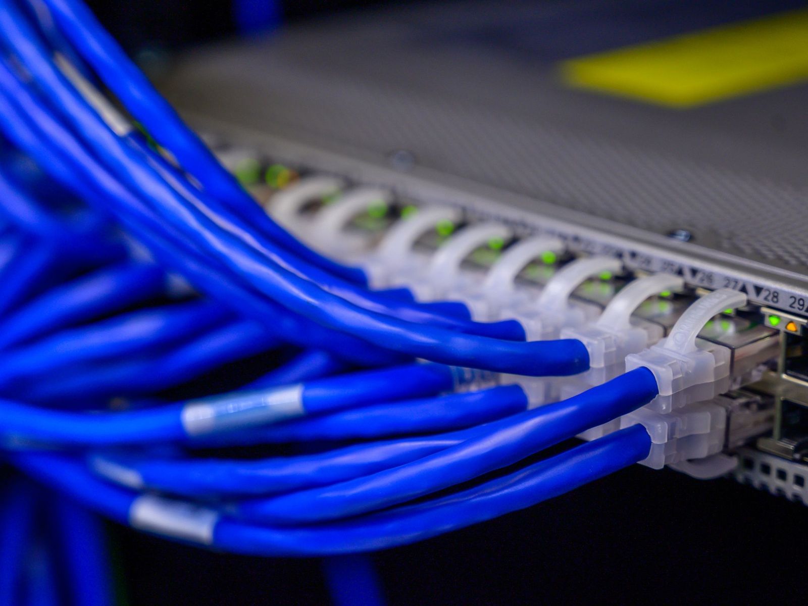 Labeled blue Cat6 patch cords plugged into a network switch